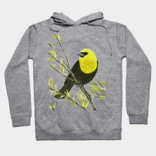 Yellow-headed Blackbird Hoodie